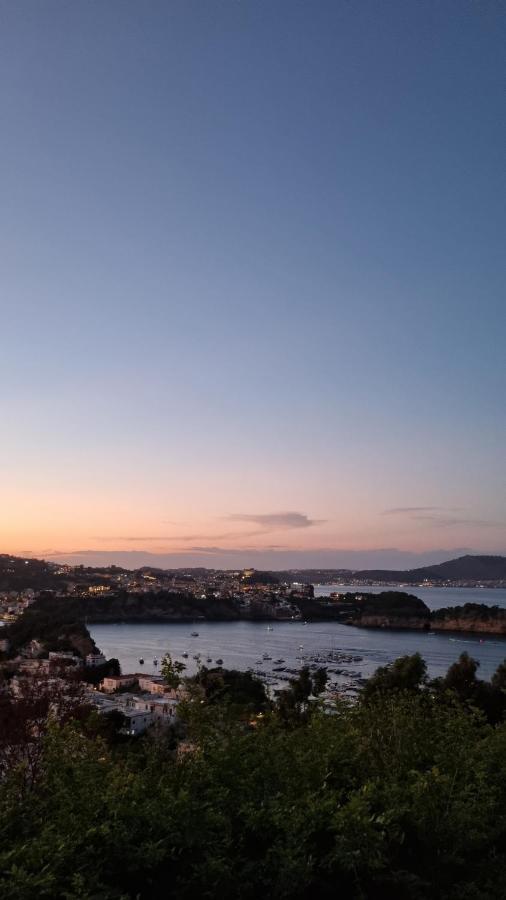 Villa Alma Flegrea Bacoli Esterno foto
